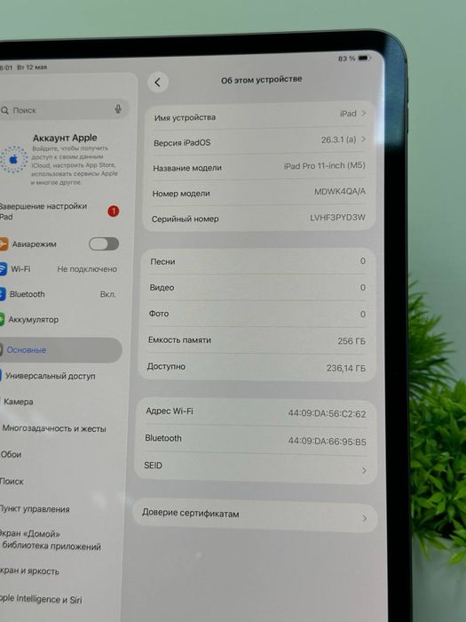 iPad Pro 11-inch 256 gb M5