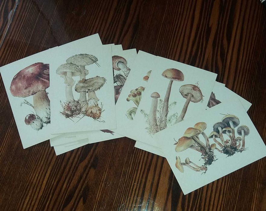 Комплект открыток