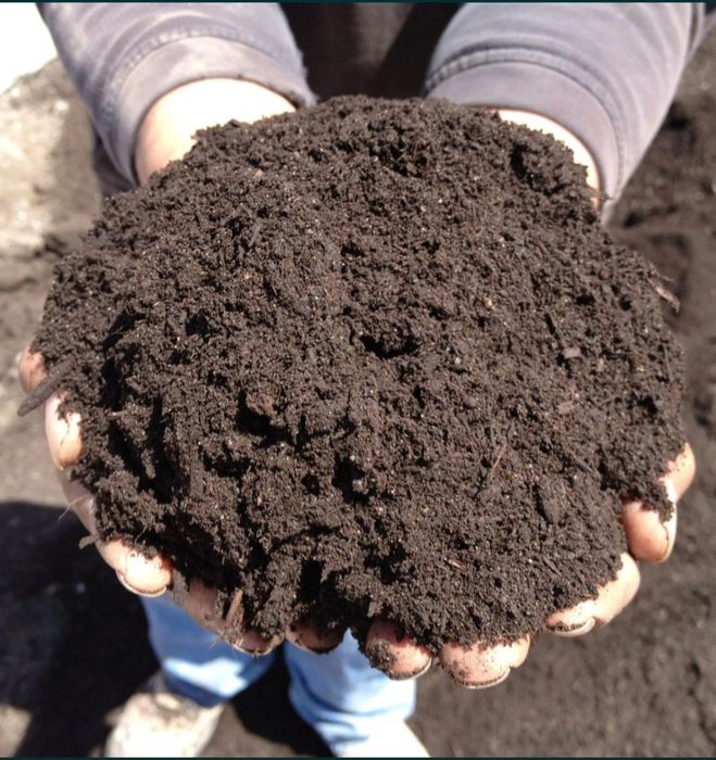 Биогумус/ Biogumus/ biogumus