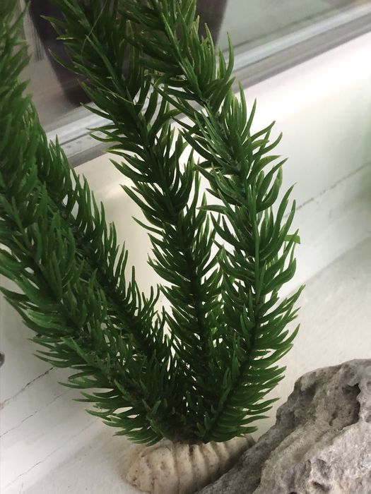 Plante acvariu decor acvariu - livrare gratuita