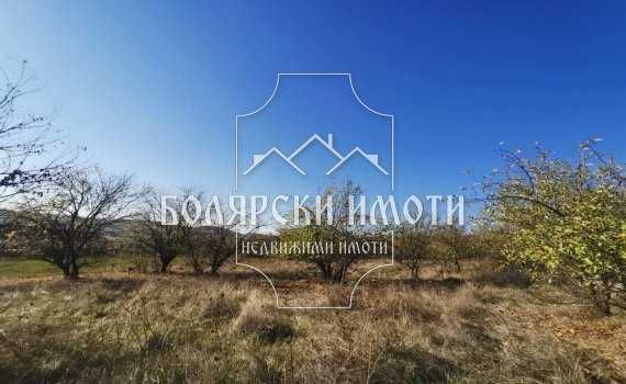 Продава се Парцел в с. Драгижево, Област Велико Търново - 9410 кв.м за 17 €/кв.м - Снимка #2