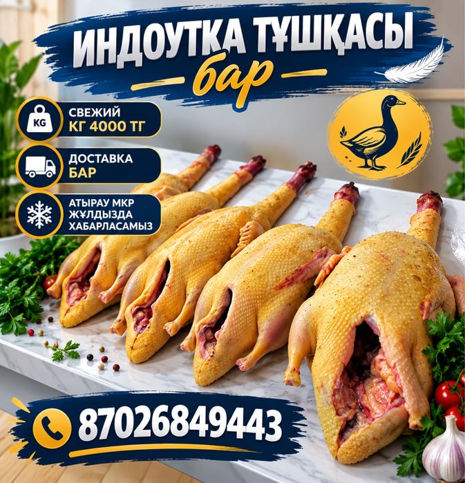 Индаутка еті бар