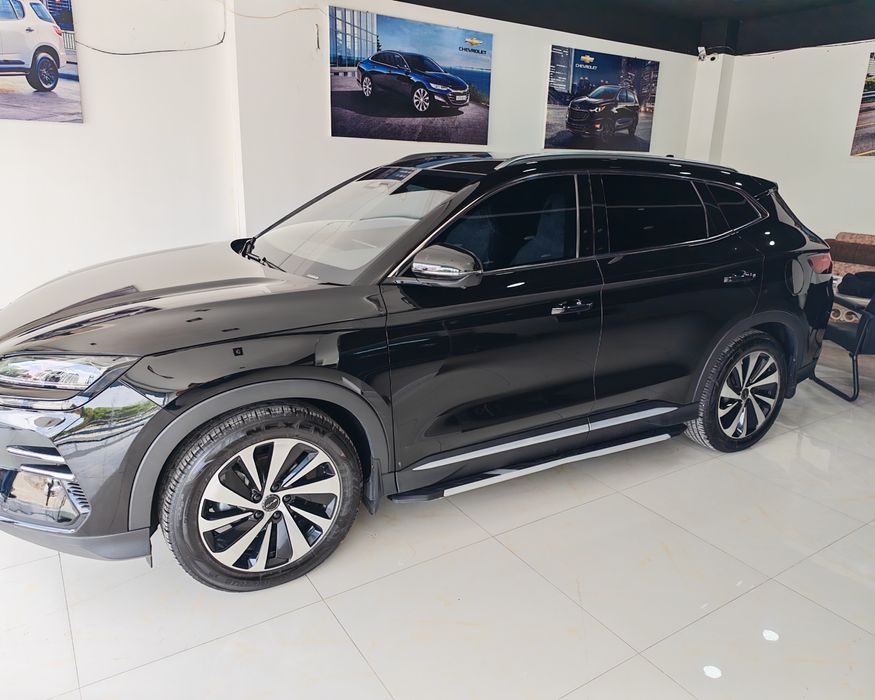 Продается Биваеди чемпион гибрид 2024/2025