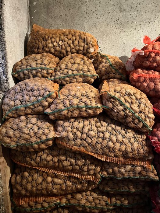 Vând cartofi de samanta !!!