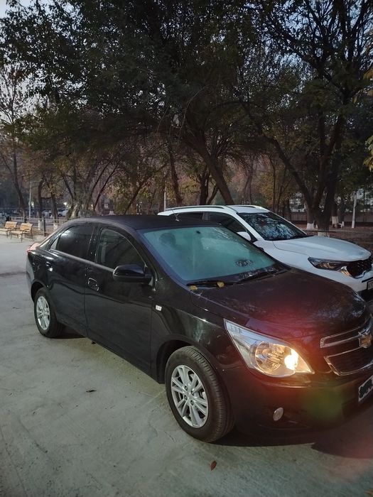 Cobolt 2024 Black ltz.