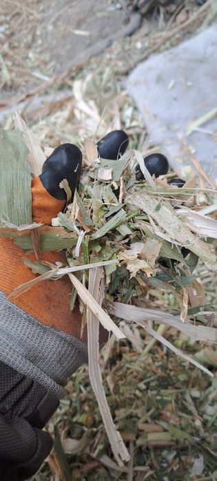 Дробилка 3в1 сено солама стебли