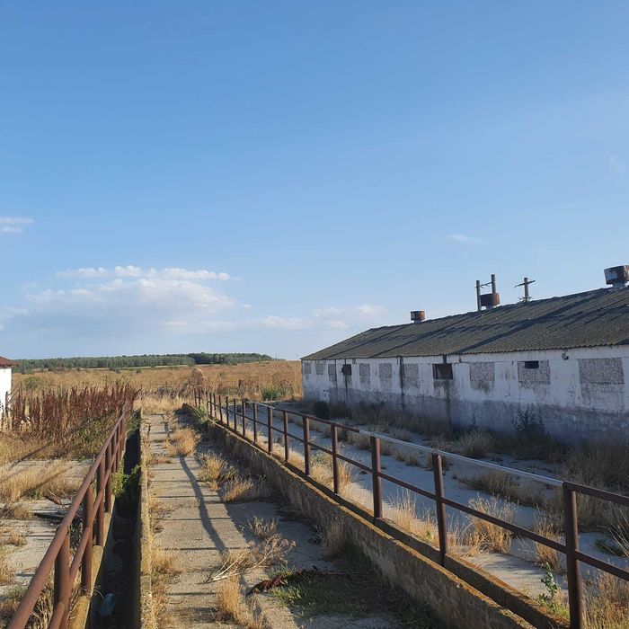 Ferma agricola,de vanzare