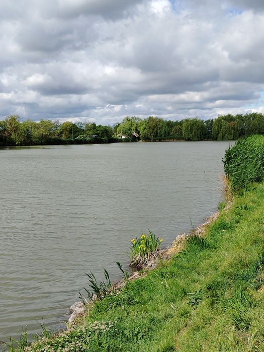 Vand balta de pescuit – Proprietate completă, 8,1 ha | De vânzare