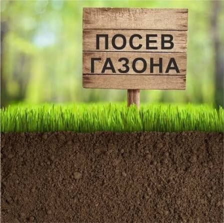Посев газона. Демонтаж газона. Услуги Садовника