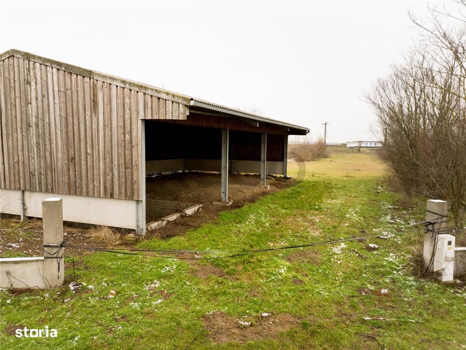 RECO . Teren intravilan cu hala metalica in Roit .