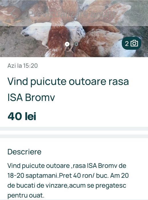 Vind puicute outoare ISA Bromv