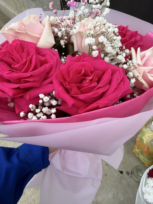 Харизентема розы все свежие