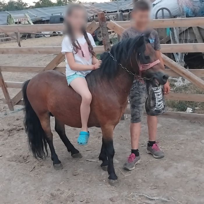 vand ponei cuminte
