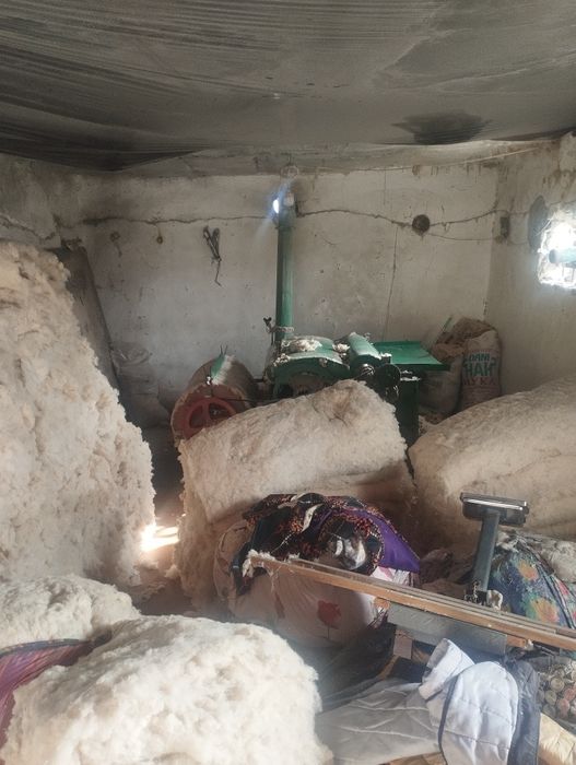 Paxta tin tin aparati