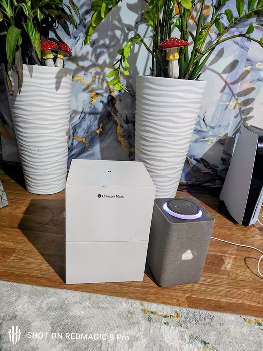 Алиса Макс в идеальном состояние!