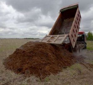 Навоз с погрузкой