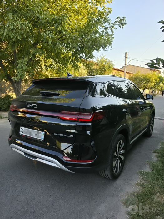 BYD Chempion Gibrit 150 Full 2025/2026 Официальный Краскаси тоза идеал