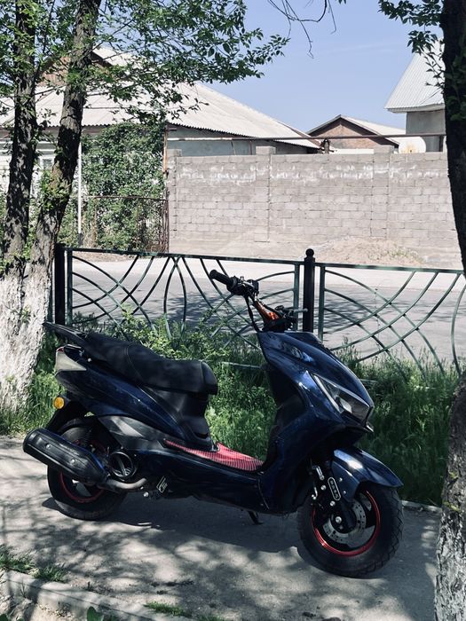 Прошка М8 про срочно