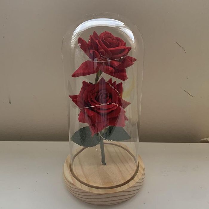 Роза в Кольбе 2800