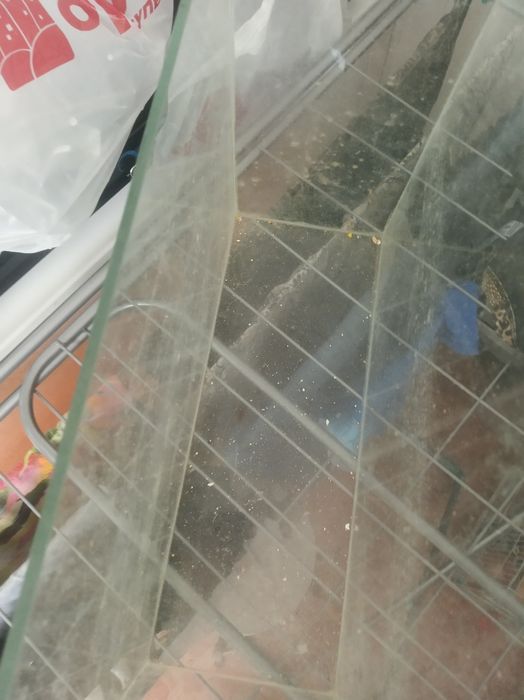 Срочно продам аквариум