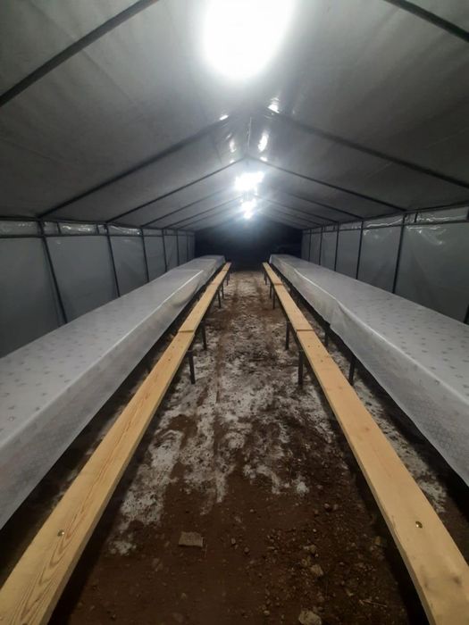 Аренда палаток 24/7