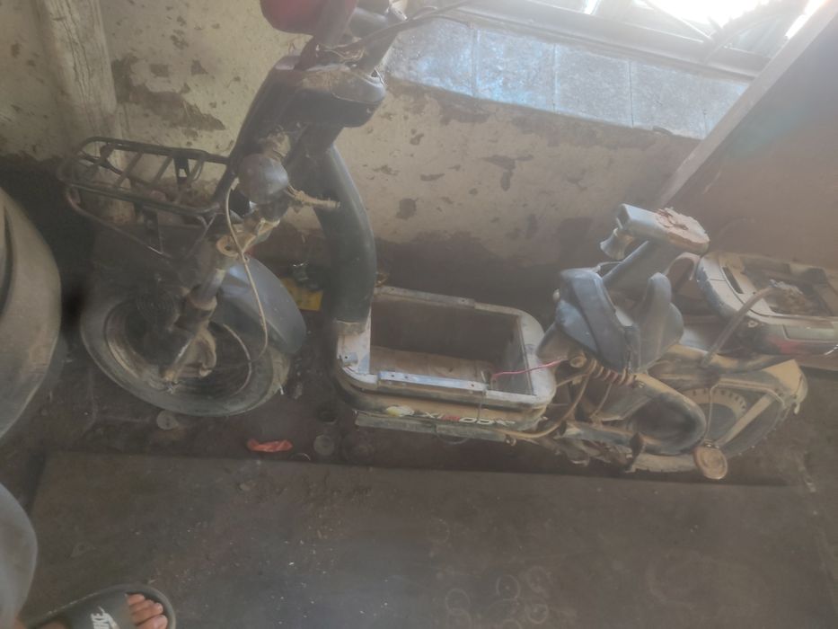 Elektra bolib arzon narxda