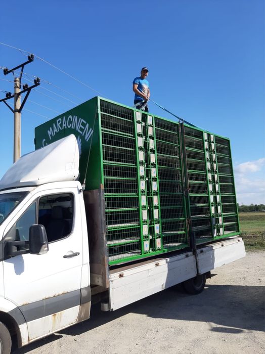 Mercedes Sprinter 515