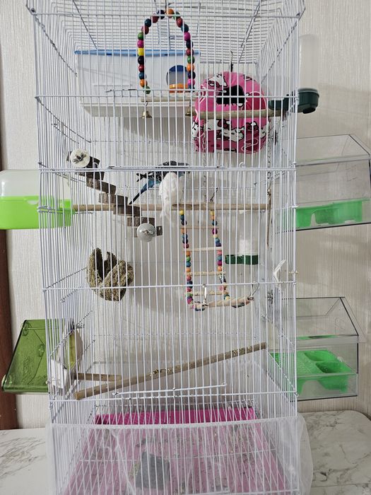 Клетка для попугаев