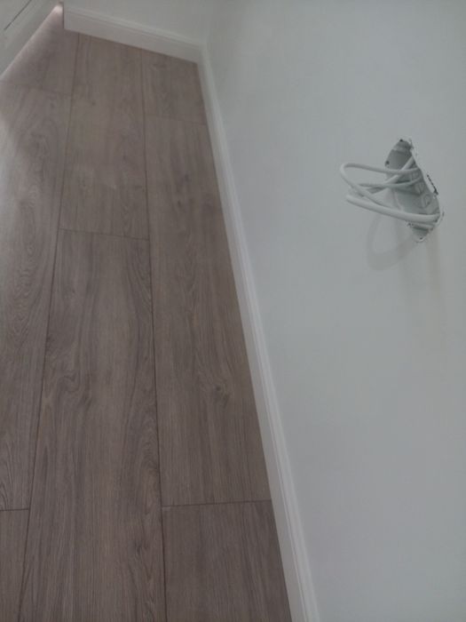 Execut zugrăveli profesionale