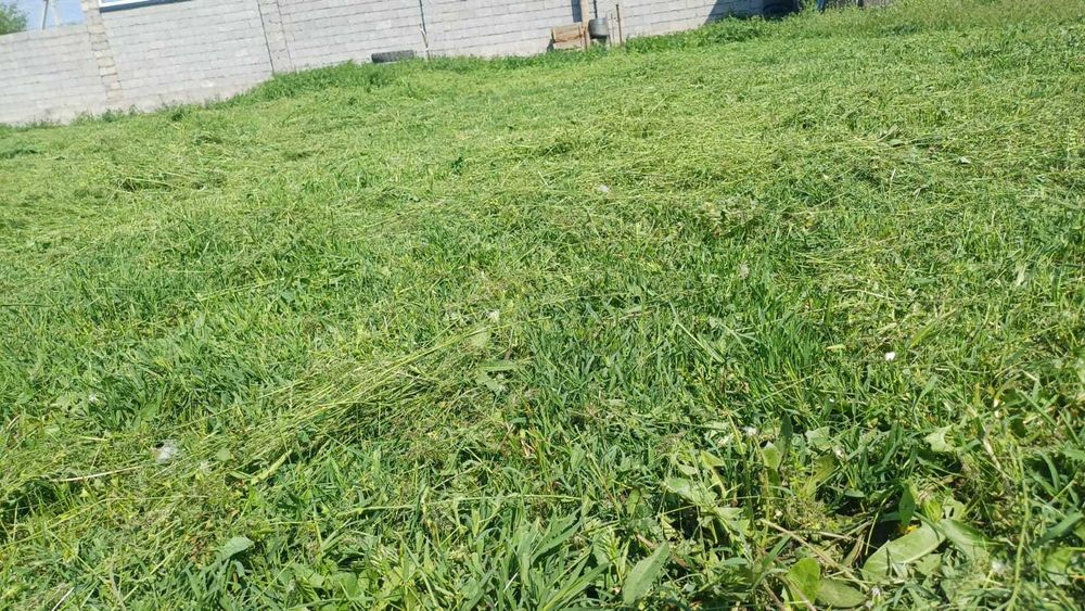 Шоп орамыз номерге жазыңыз.