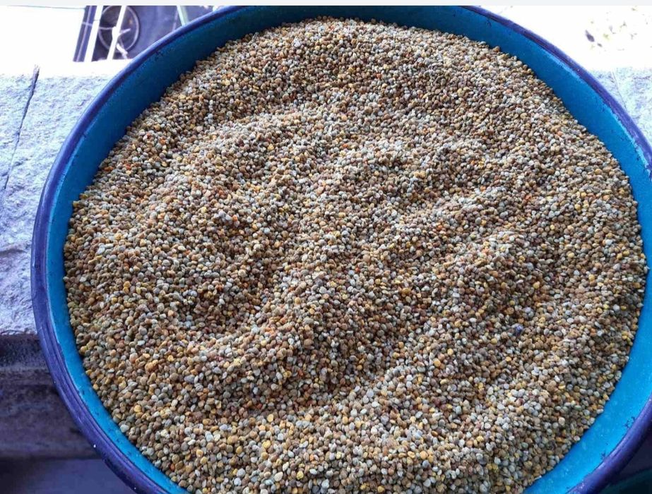 Мед от Медово, Добит от екологично чист район