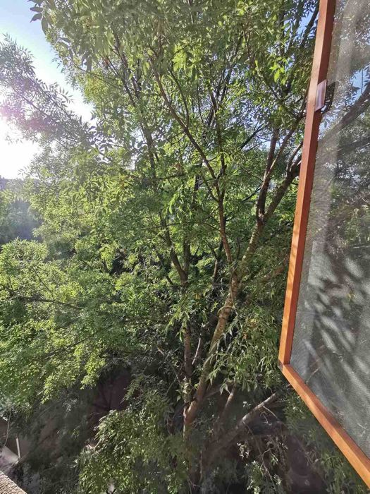 Продава се Тристаен апартамент в София, Младост 1А - 78 кв.м за 1924 €/кв.м - Снимка #8