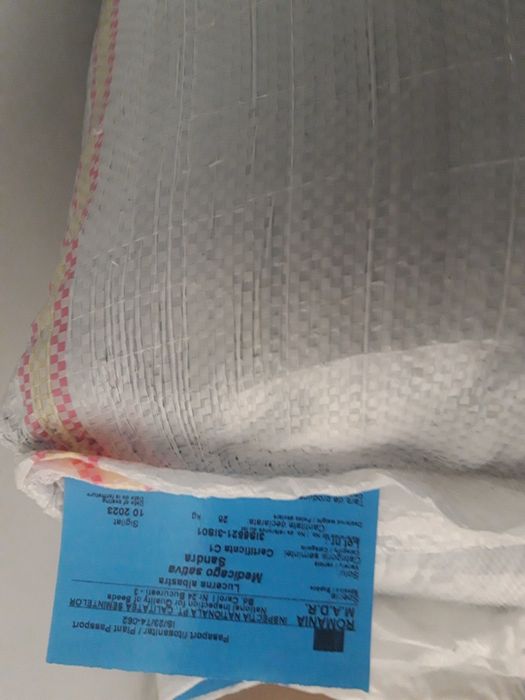 Samanta Lucerna Certificata, Trifoi, Sparceta, Măzăriche, Iarba  Sudan  Sorg  Porumb  Floarea Soarelui