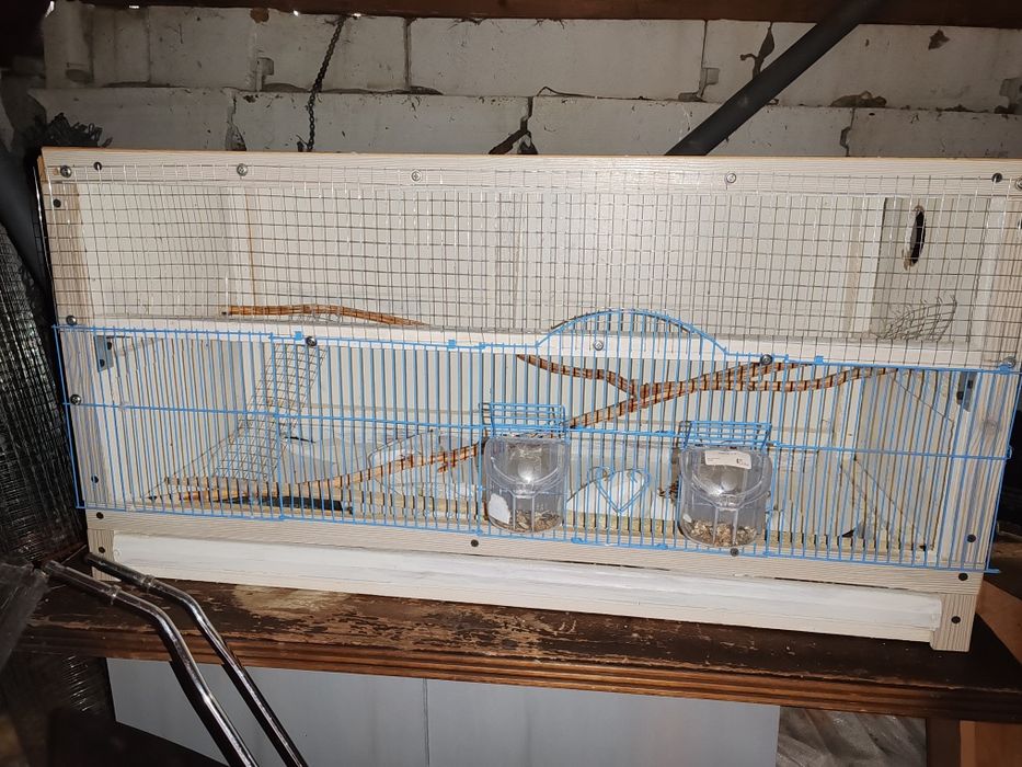 Vând cușca pentru Nimfe sau papagalii