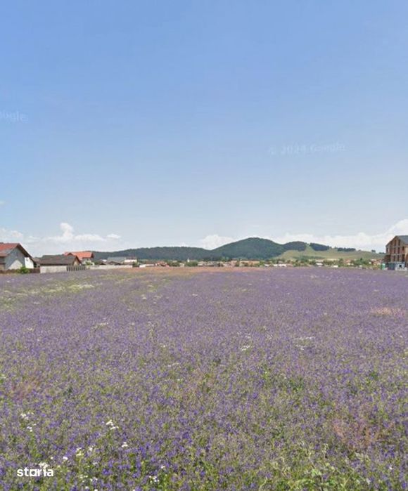 Loturi de casa 535mp cu utilitati, zona Primaverii, Sanpetru