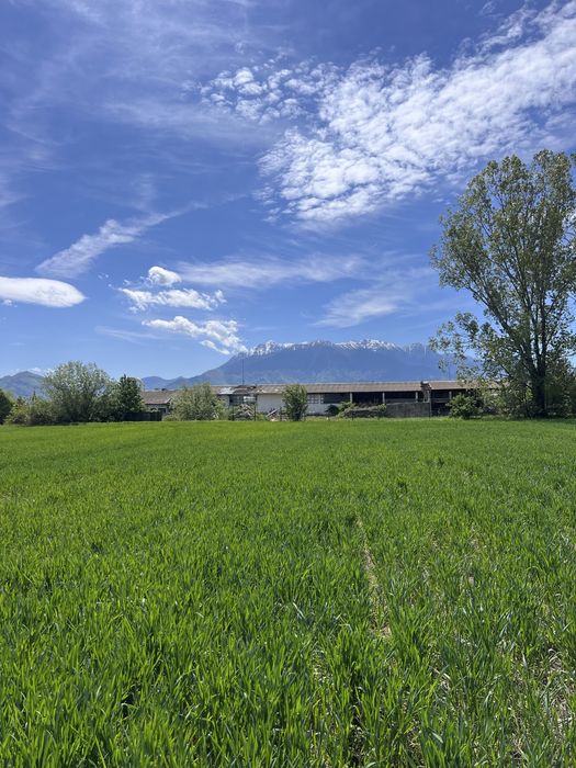 Teren intravilan PUZ APROBAT