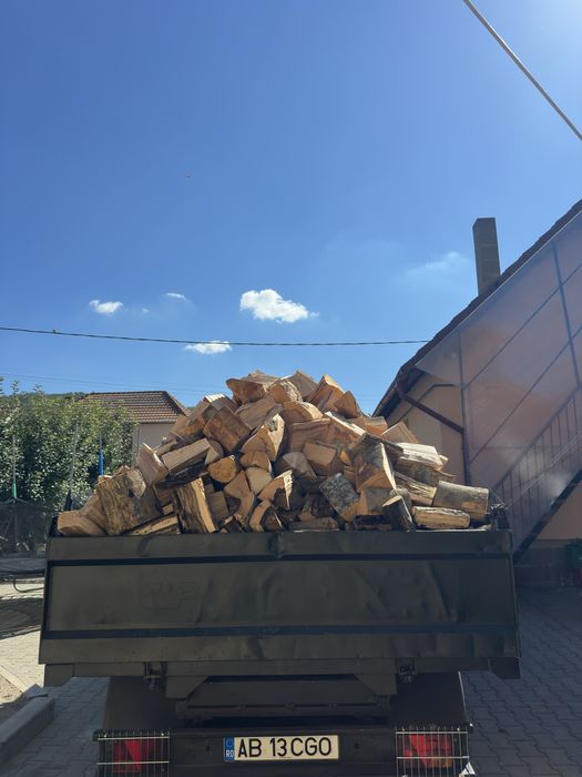 Vand Lemne de Foc Fag