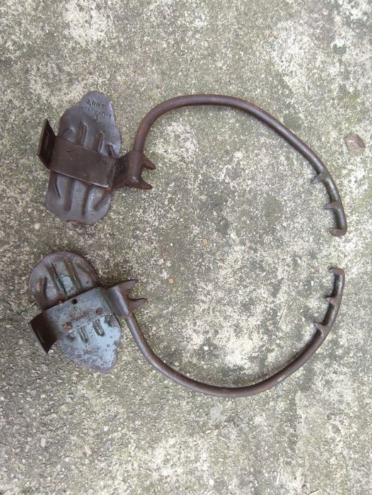 Gheare forestiere românești