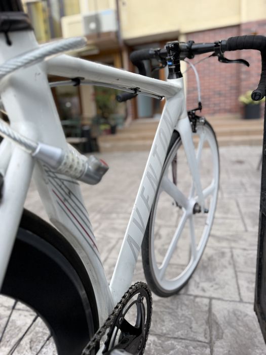 Bicicleta Aventon Fixie/Single Speed