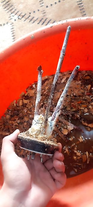 Ремонт Аристон и Электрика