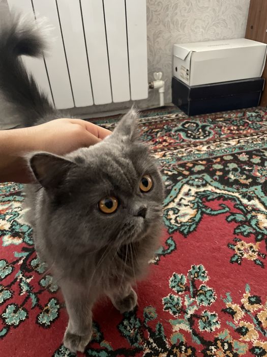 Rus retro porno film