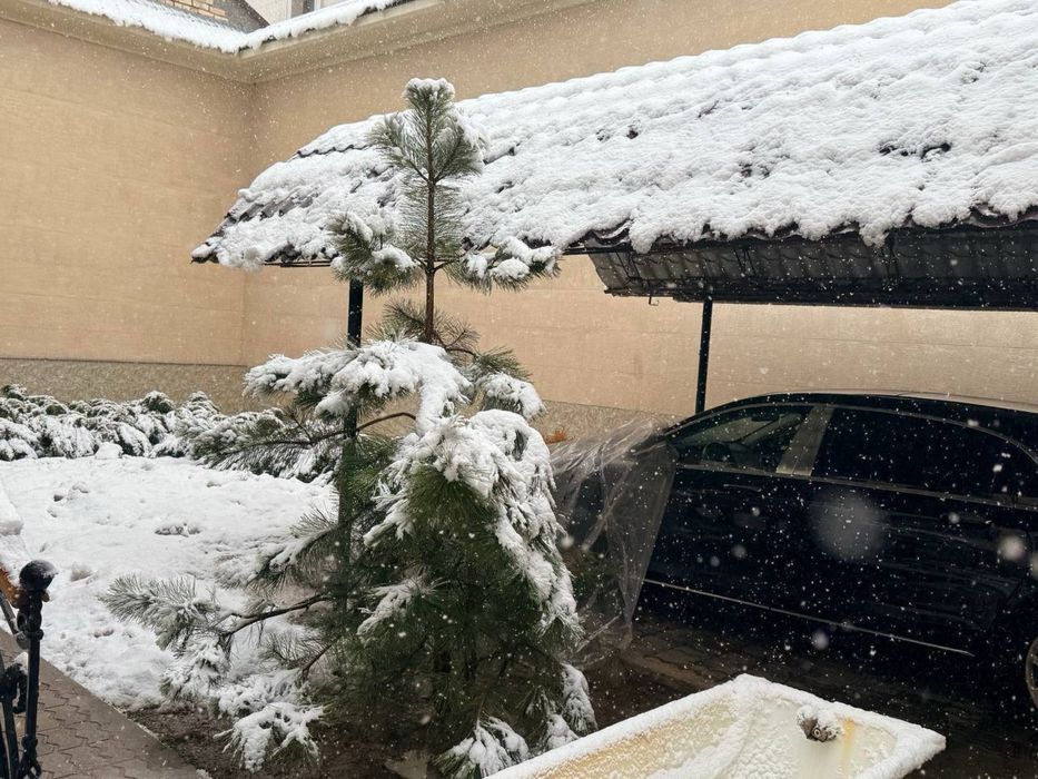 Дом Чайхана Салом 3,2 сотки