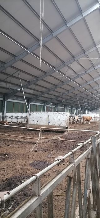 Inchiriez sau vand hala metalica