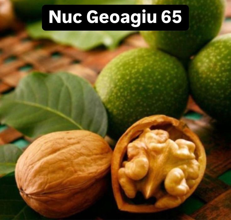 Nuc Altoit De vanzare