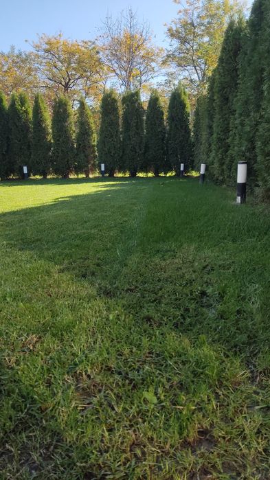 Професионално косене и поддръжка на дворове  Пловдив