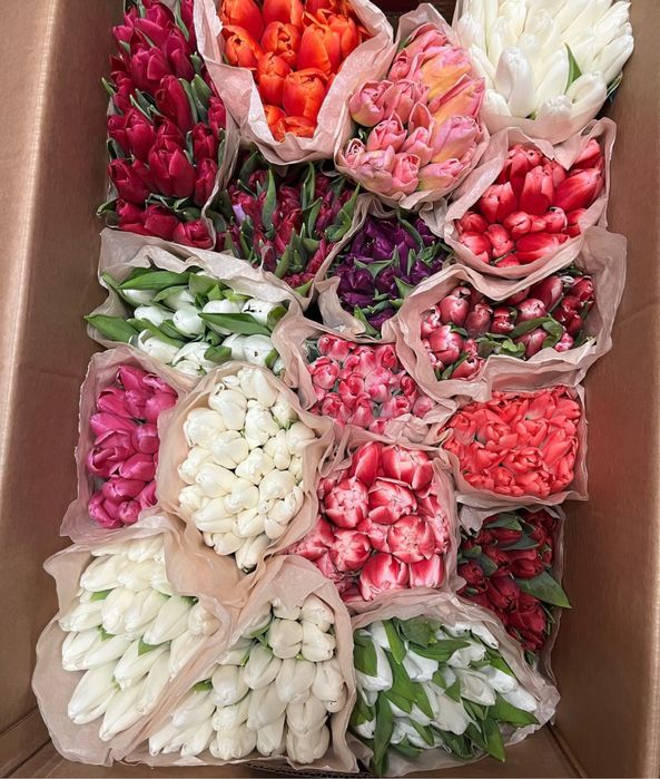 Тюльпаны опт ( крупные ) поставка 1/2 марта предзаказ