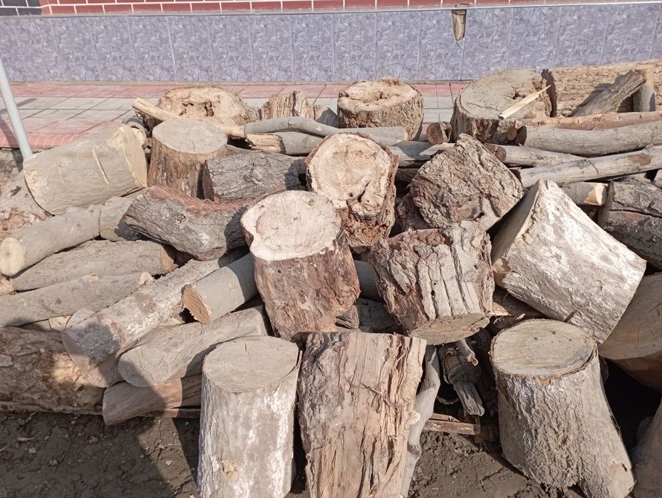 Утин анча бор, хаммаси кесиб тахланган.