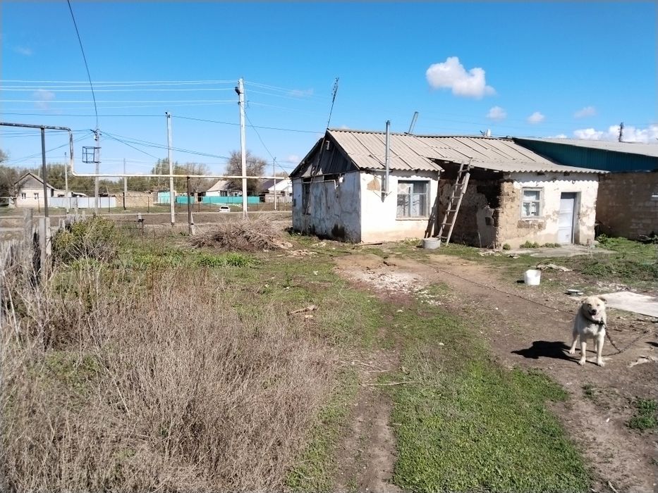 Продам дом с участком