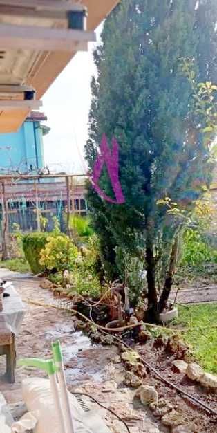 Чудесен имот и Цена! Просторен Тристаен- Виница