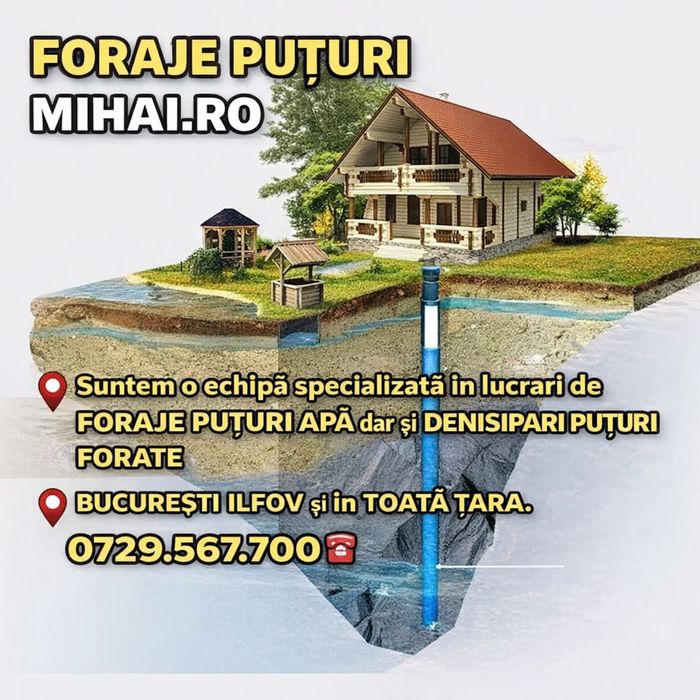 Foraje Puturi Si Denisipari